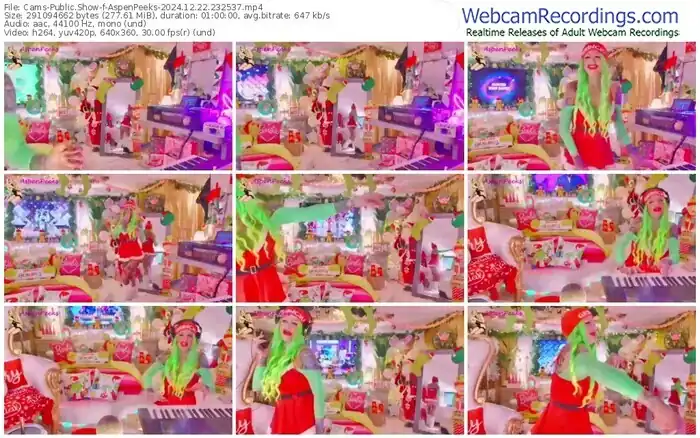 cams-aspenpeeks-12-22-2024-23-25-37