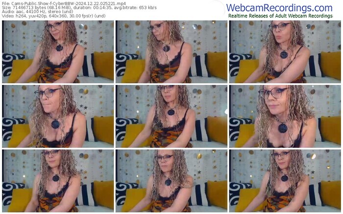 cams-cyberbbw-12-22-2024-02-52-21