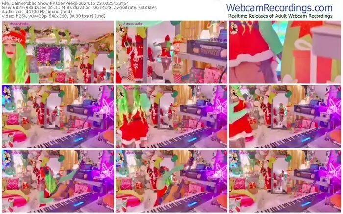 cams-aspenpeeks-12-23-2024-00-25-42