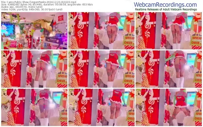 cams-aspenpeeks-12-23-2024-01-02-22