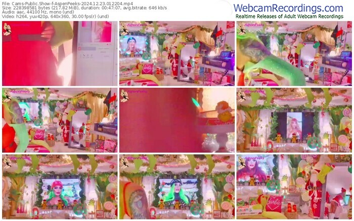 cams-aspenpeeks-12-23-2024-01-22-04