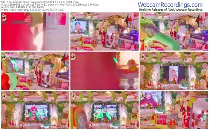 cams-aspenpeeks-12-23-2024-01-22-04