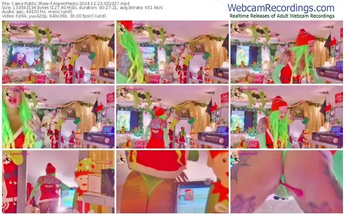 cams-aspenpeeks-12-23-2024-03-23-27