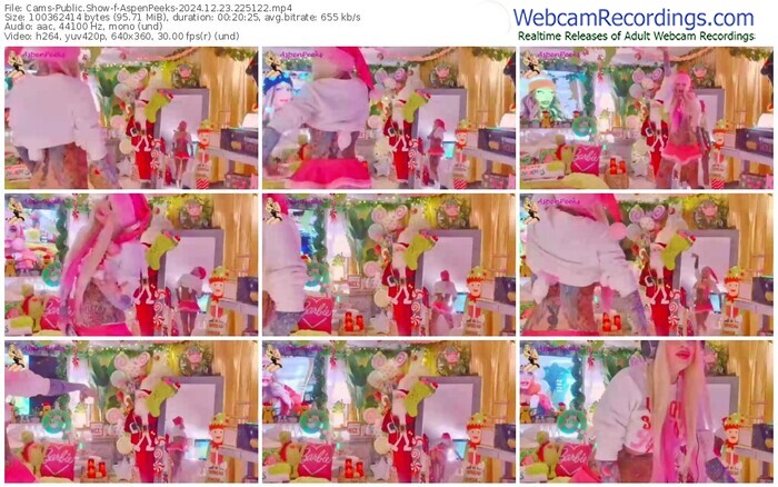cams-aspenpeeks-12-23-2024-22-51-22