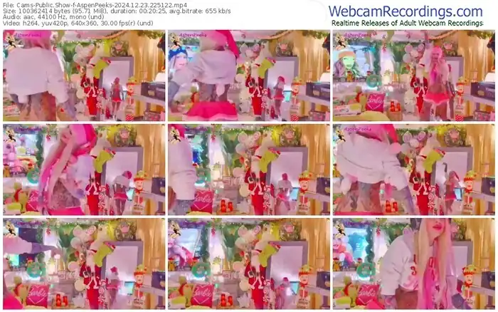 cams-aspenpeeks-12-23-2024-22-51-22