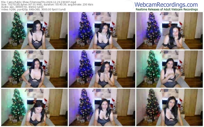 cams-denissetits-12-23-2024-23-03-07