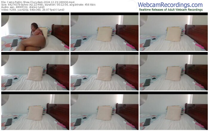 cams-lucydam-12-23-2024-18-39-30