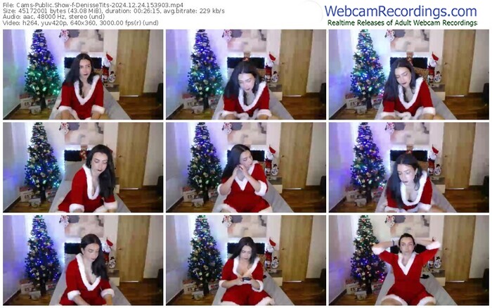 cams-denissetits-12-24-2024-15-39-03