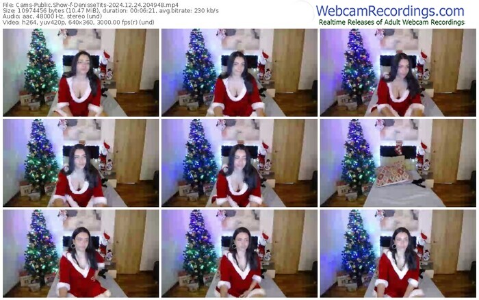 cams-denissetits-12-24-2024-20-49-48