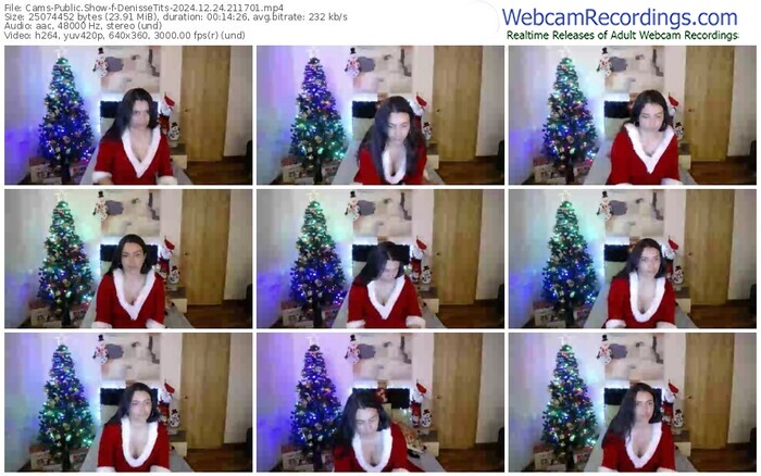cams-denissetits-12-24-2024-21-17-01