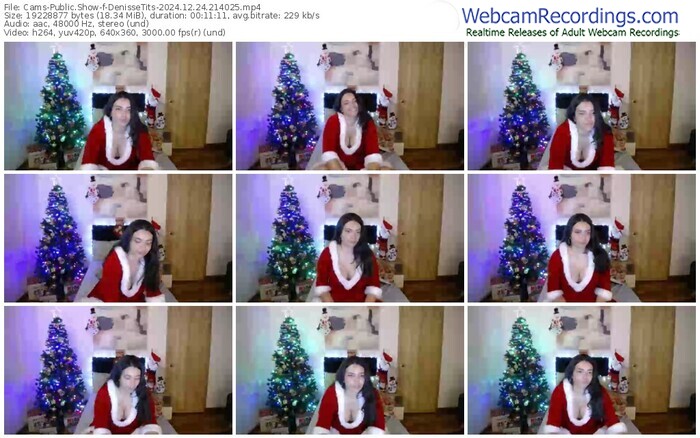 cams-denissetits-12-24-2024-21-40-25