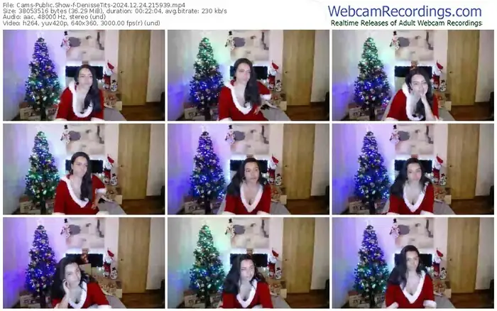 cams-denissetits-12-24-2024-21-59-39