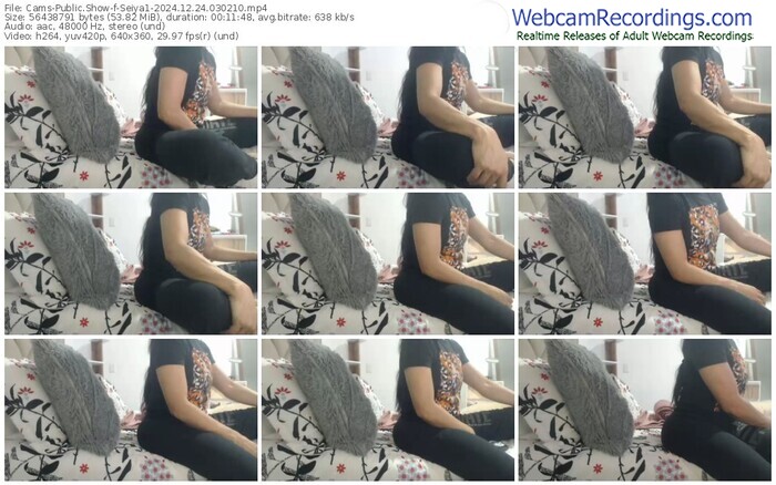 cams-seiya1-12-24-2024-03-02-10