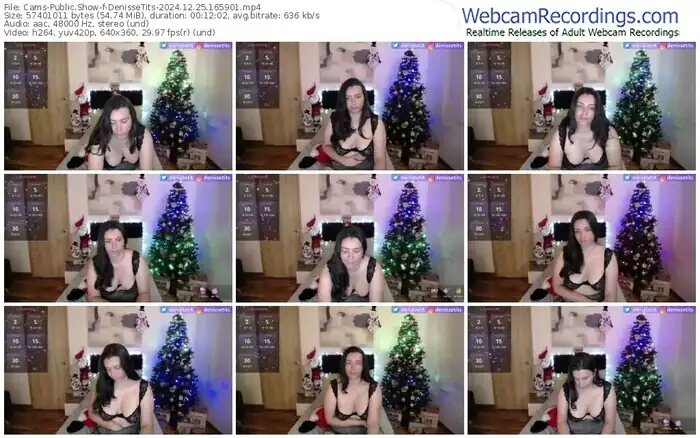 cams-denissetits-12-25-2024-16-59-01
