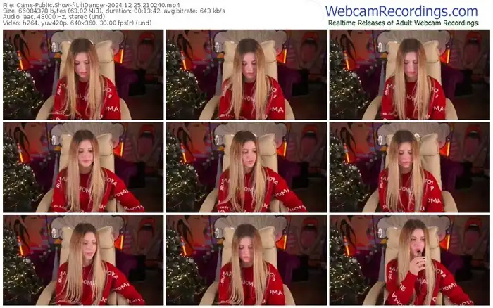 cams-lilidanger-12-25-2024-21-02-40