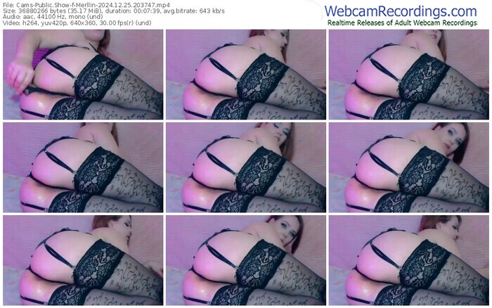 cams-merllin-12-25-2024-20-37-47