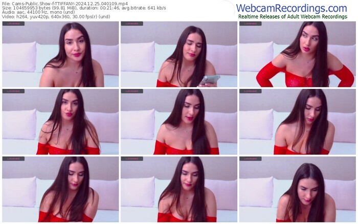 cams-ttiffany-12-25-2024-04-01-09