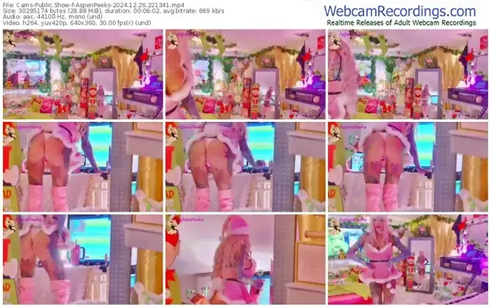 cams-aspenpeeks-12-26-2024-22-13-41