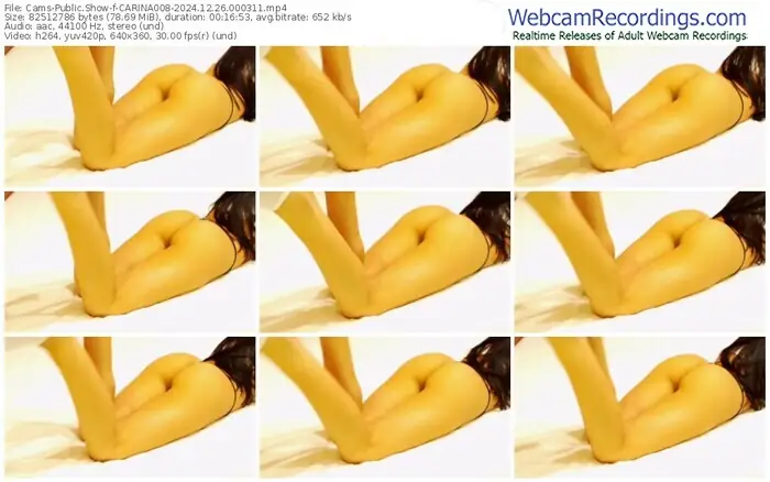 cams-carina008-12-26-2024-00-03-11