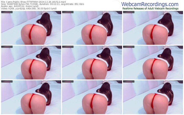 cams-ttiffany-12-26-2024-18-15-12