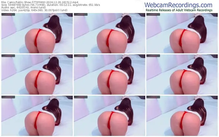 cams-ttiffany-12-26-2024-18-15-12