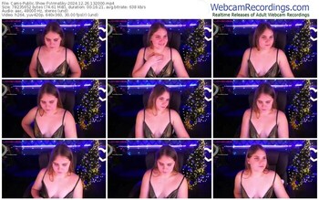 cams-vinnasky-12-26-2024-13-20-00