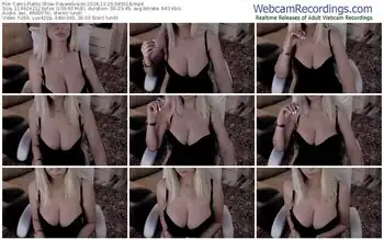 cams-evarelusion-12-26-2024-04-50-18