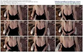 cams-evarelusion-12-26-2024-07-40-10