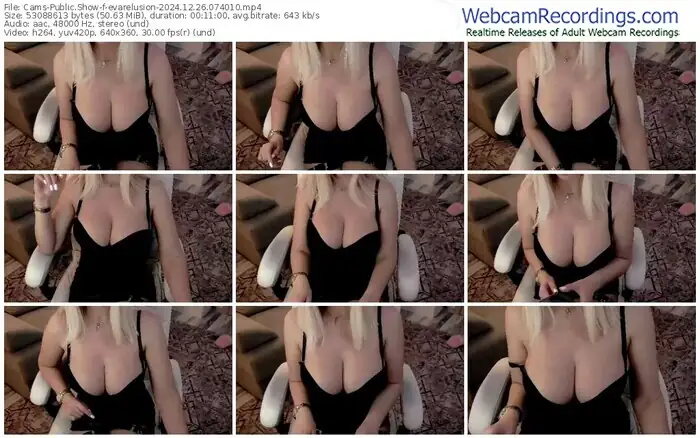 cams-evarelusion-12-26-2024-07-40-10