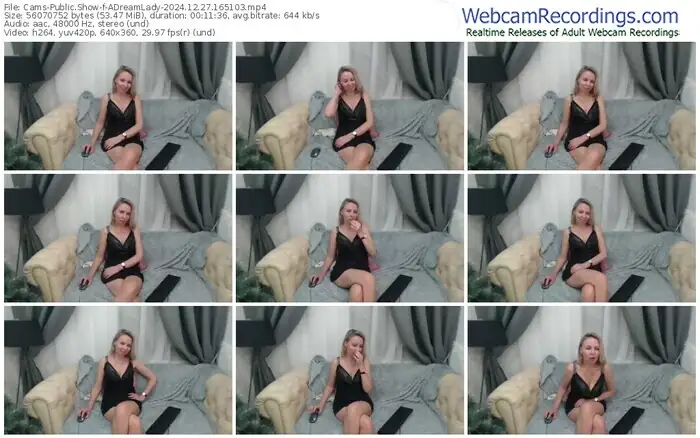 cams-adreamlady-12-27-2024-16-51-03