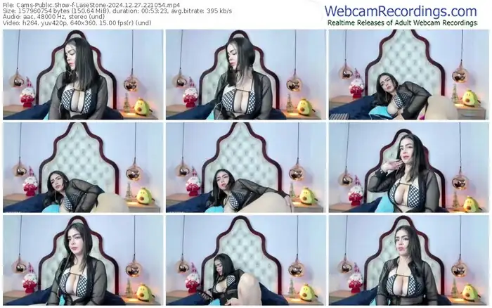 cams-lasestone-12-27-2024-22-10-54