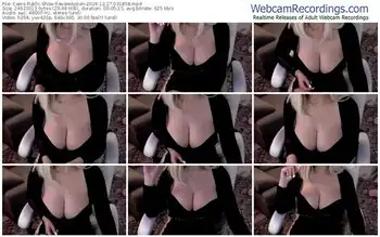 cams-evarelusion-12-27-2024-03-18-58