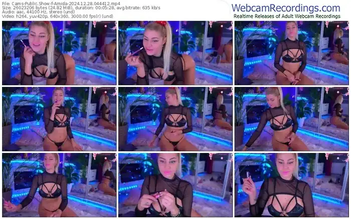 cams-amida-12-28-2024-04-44-12