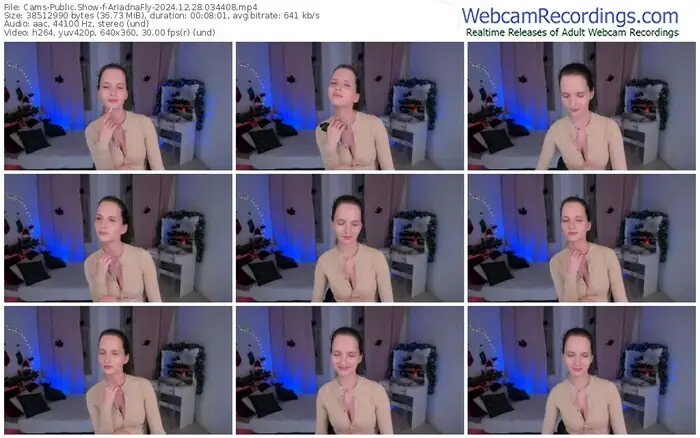 cams-ariadnafly-12-28-2024-03-44-08