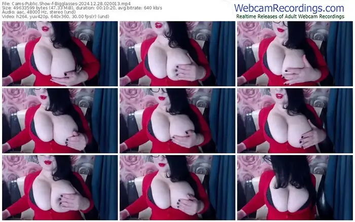 cams-bigglasses-12-28-2024-02-00-13