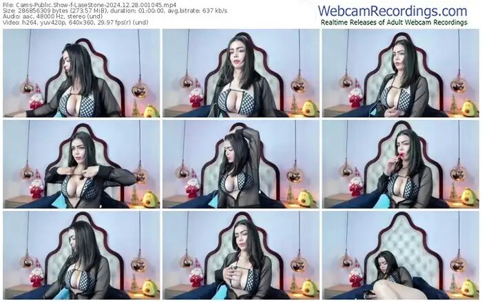 cams-lasestone-12-28-2024-00-10-45