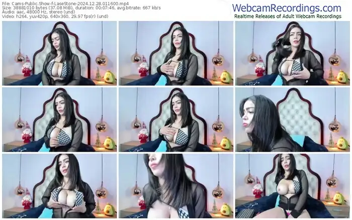 cams-lasestone-12-28-2024-01-16-00