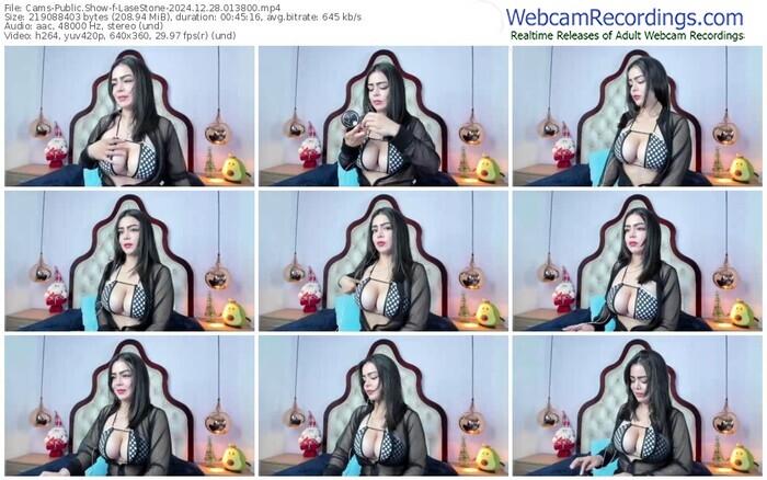 cams-lasestone-12-28-2024-01-38-00