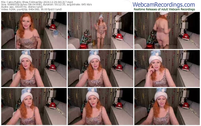 cams-almazsky-12-29-2024-04-12-17