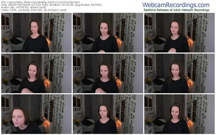 cams-ariadnafly-12-29-2024-02-14-48