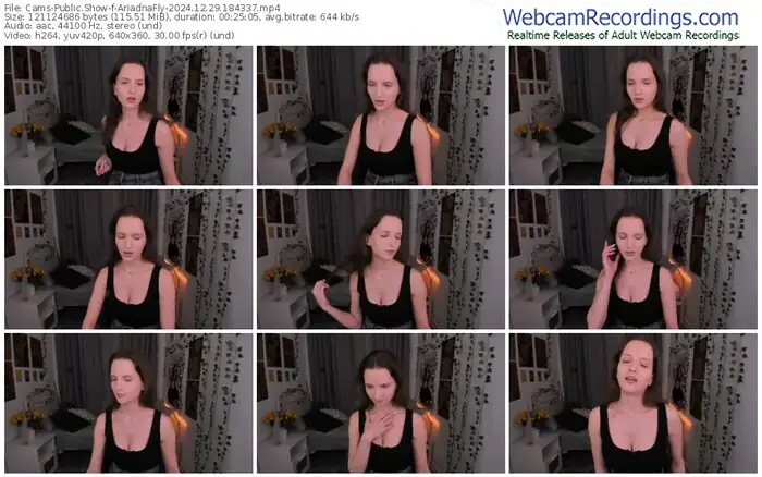 cams-ariadnafly-12-29-2024-18-43-37