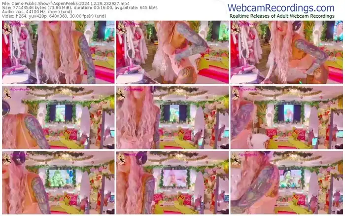 cams-aspenpeeks-12-29-2024-23-29-27