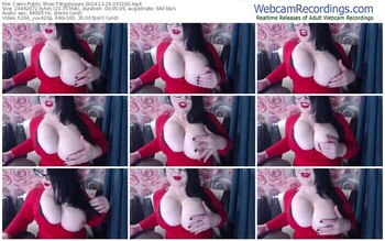 cams-bigglasses-12-29-2024-03-31-00