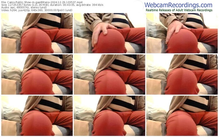 cams-gae89tano-12-29-2024-10-35-37