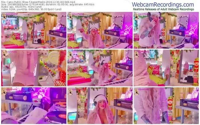 cams-aspenpeeks-12-30-2024-00-19-48