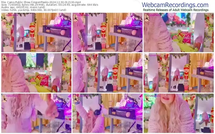 cams-aspenpeeks-12-30-2024-01-21-30