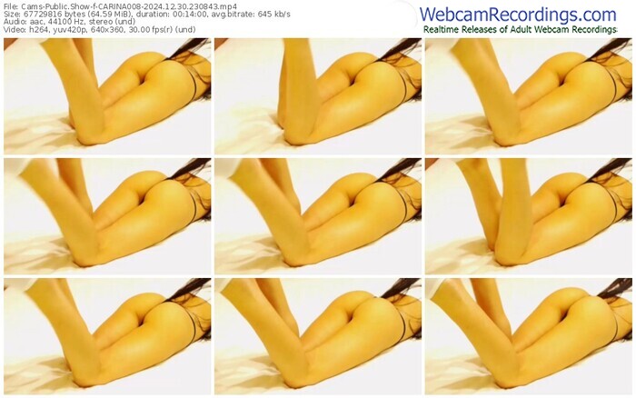 cams-carina008-12-30-2024-23-08-43