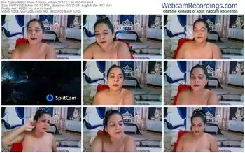 cams-fancy_indian-12-30-2024-09-04-00