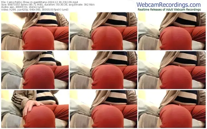 cams-gae89tano-12-30-2024-23-11-09