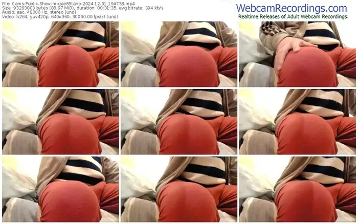 cams-gae89tano-12-31-2024-19-47-38